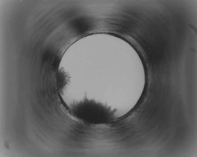 X0000100871337200807181228