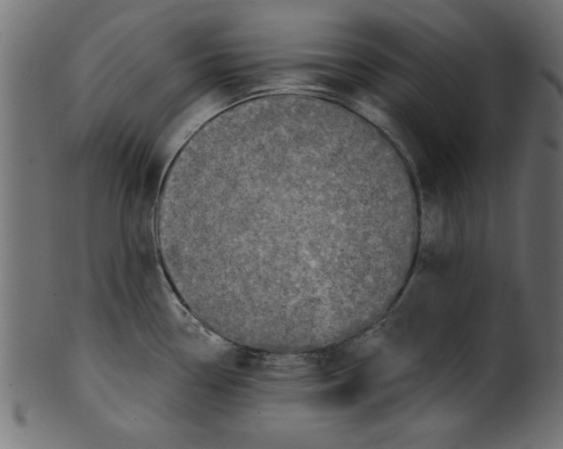 X0000100871338200807181228