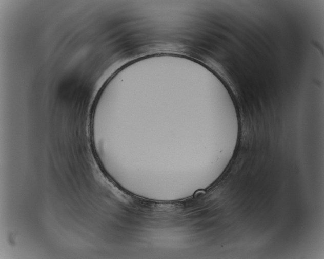 X0000100871339200807181228