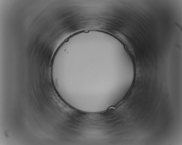 X0000100871340200807181228
