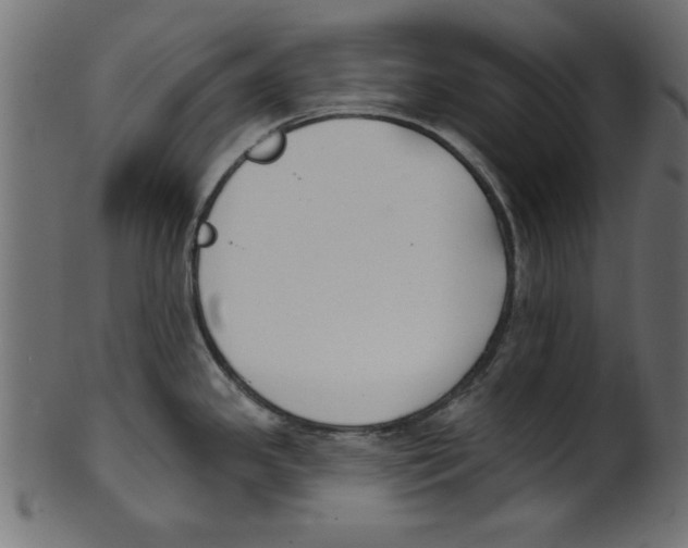 X0000100871341200807181228