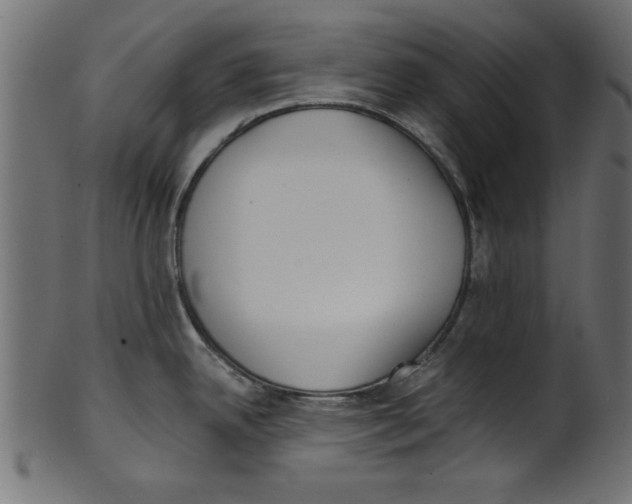 X0000100871342200807181228