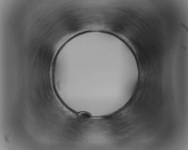 X0000100871343200807181228