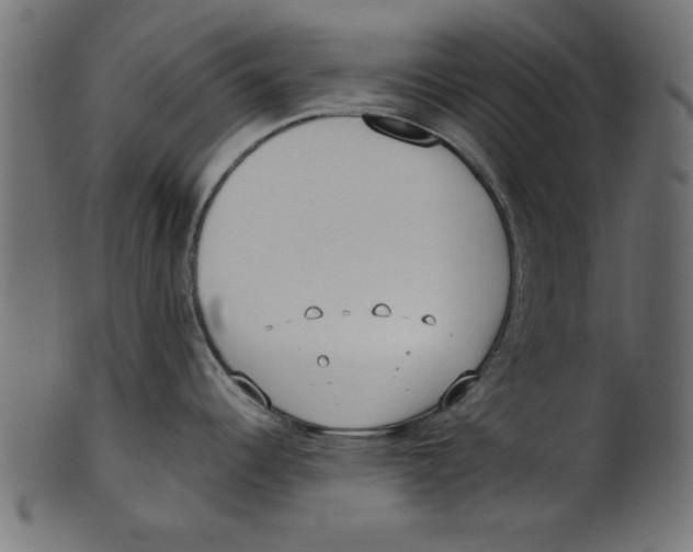 X0000100871344200807181228