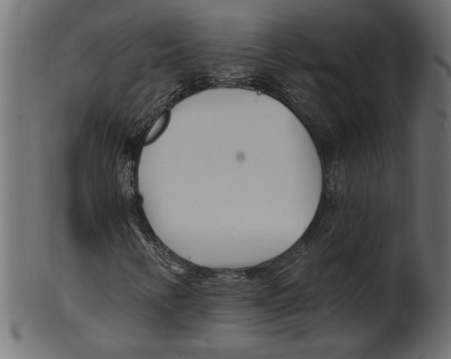 X0000100871346200807181227