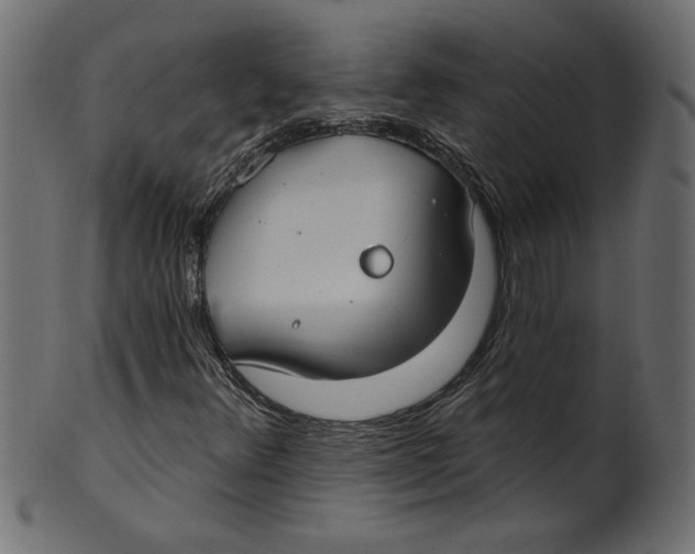 X0000100871348200807181227