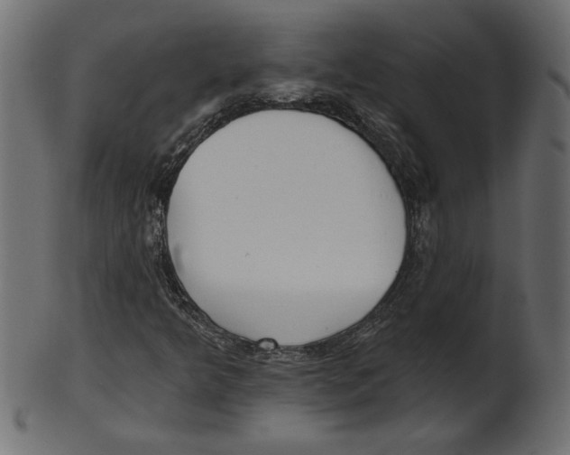 X0000100871349200807181227