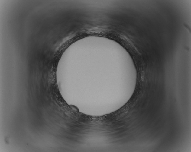 X0000100871350200807181227