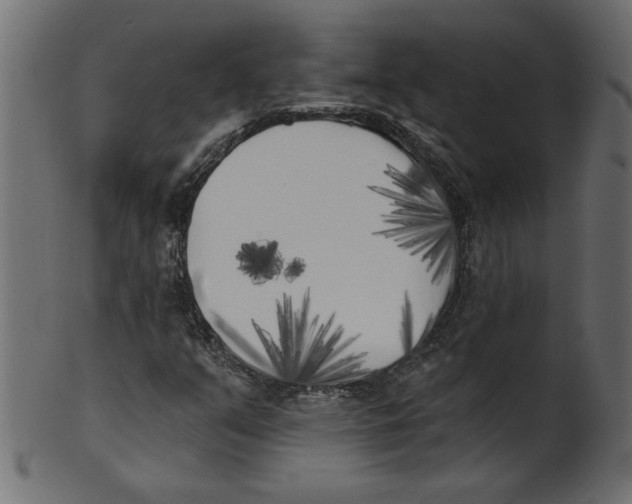 X0000100871351200807181227