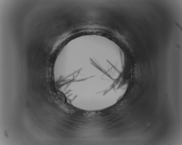 X0000100871352200807181227