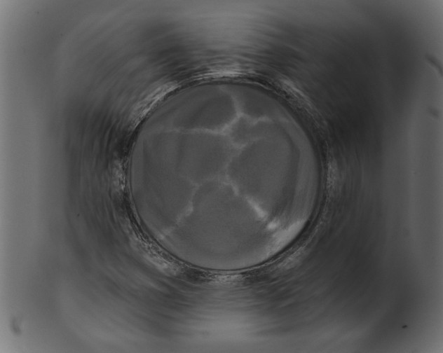 X0000100871353200807181227