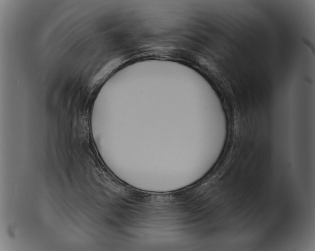 X0000100871354200807181227