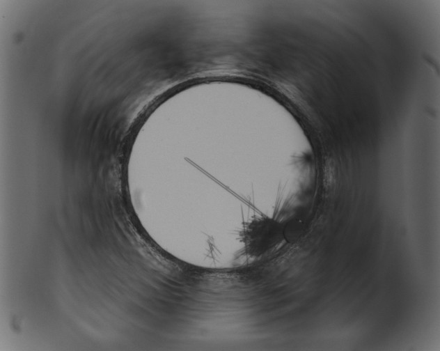 X0000100871356200807181227