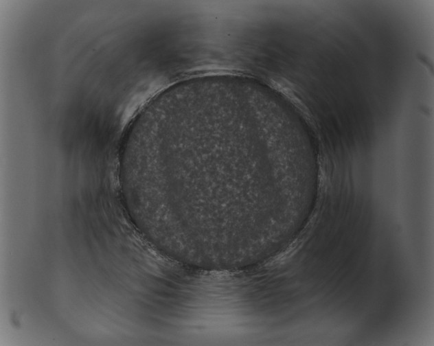 X0000100871357200807181227