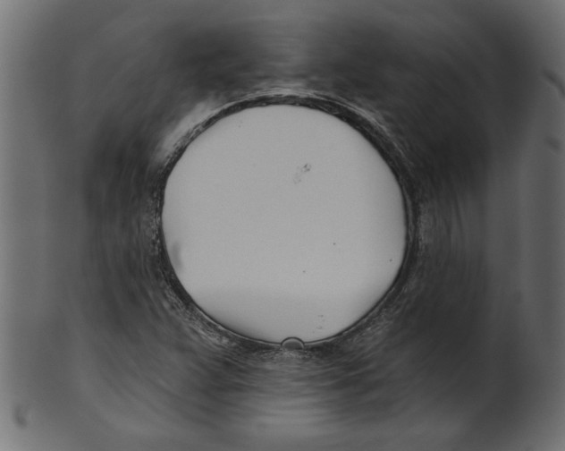 X0000100871359200807181227