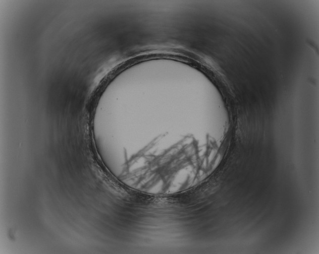 X0000100871360200807181227