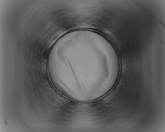 X0000100871361200807181227