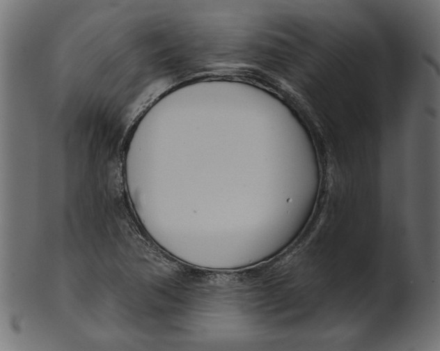 X0000100871362200807181227