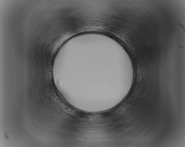 X0000100871363200807181227
