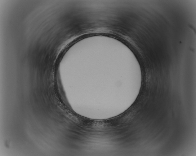 X0000100871364200807181227