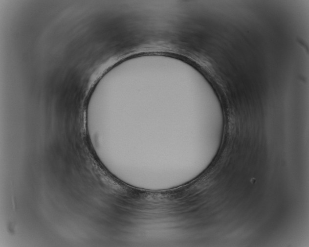 X0000100871366200807181227