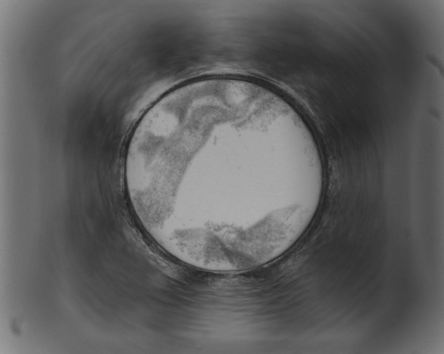 X0000100871367200807181227