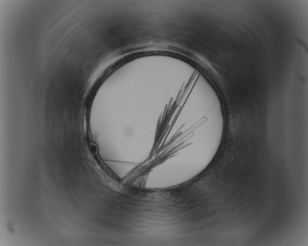 X0000100871368200807181227