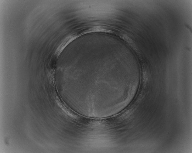X0000100871369200807181227