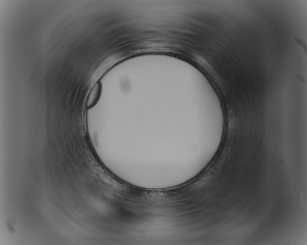 X0000100871370200807181227