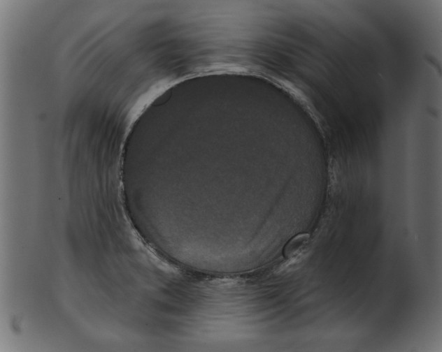 X0000100871373200807181227