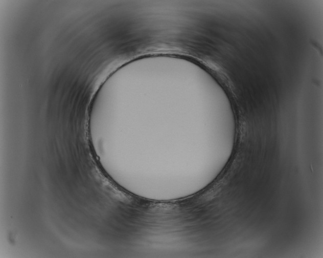 X0000100871374200807181227