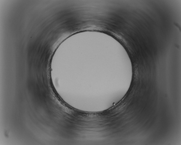 X0000100871375200807181227