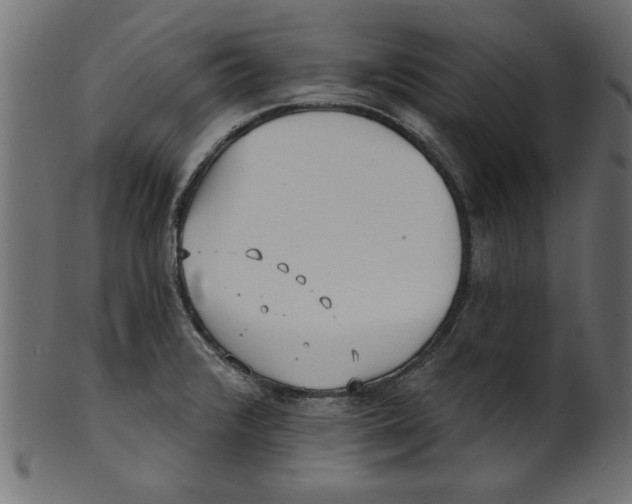 X0000100871376200807181227