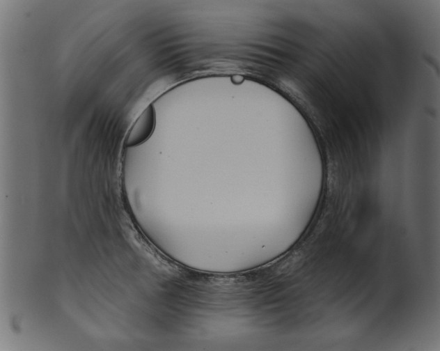 X0000100871378200807181227