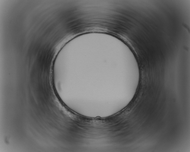 X0000100871379200807181227