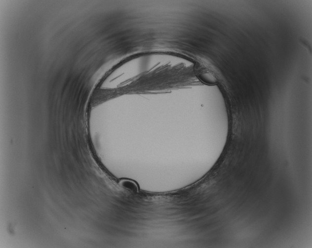 X0000100871380200807181227