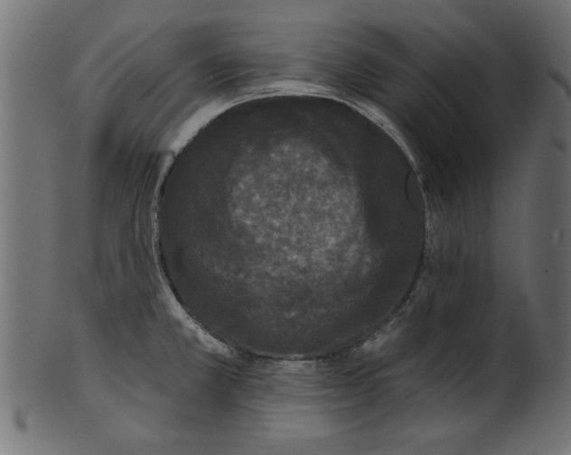 X0000100871381200807181227