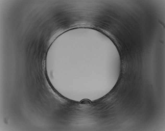 X0000100871383200807181227