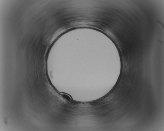 X0000100871384200807181227