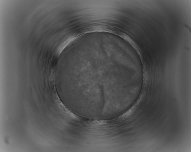 X0000100871385200807181227