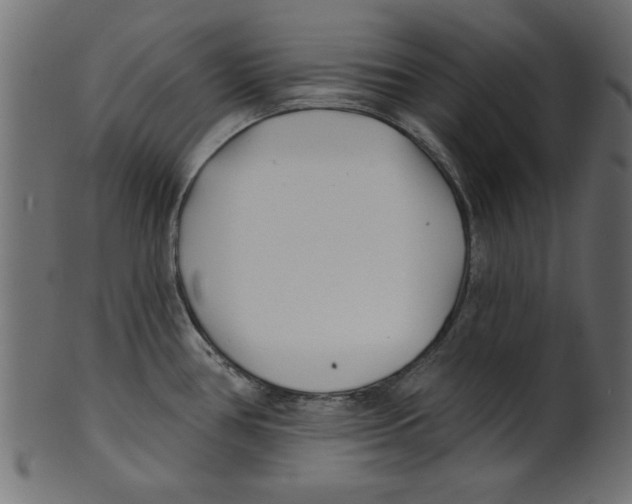 X0000100871386200807181227