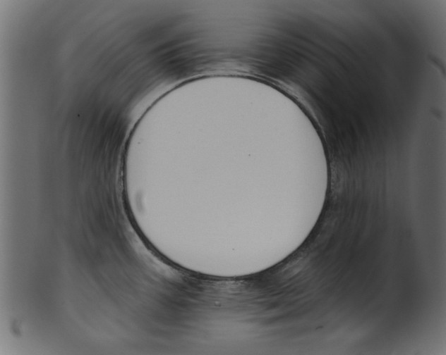 X0000100871387200807181227
