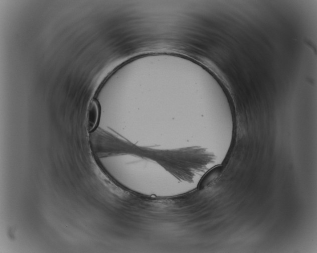 X0000100871388200807181227