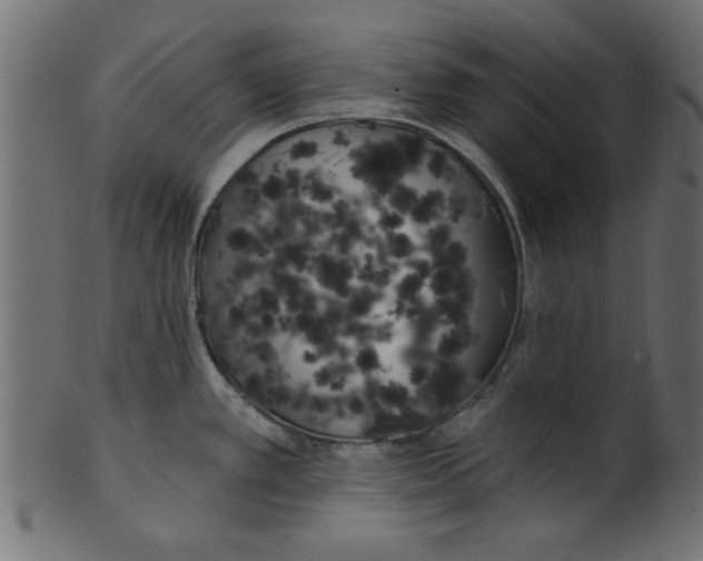 X0000100871389200807181227