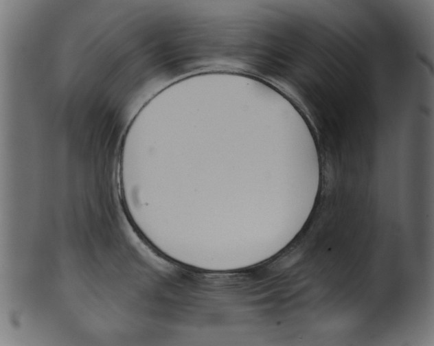 X0000100871391200807181227