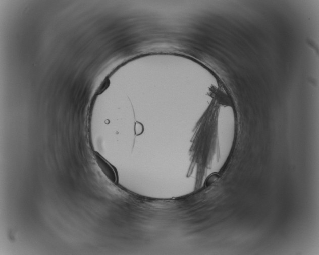 X0000100871392200807181227