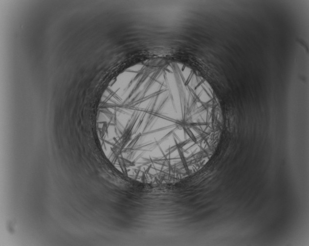 X0000100871393200807181226