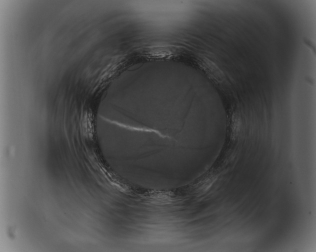 X0000100871394200807181226