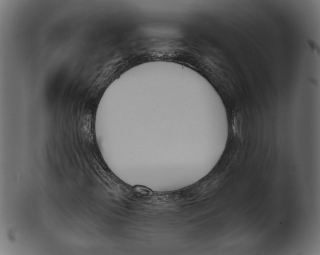 X0000100871396200807181226