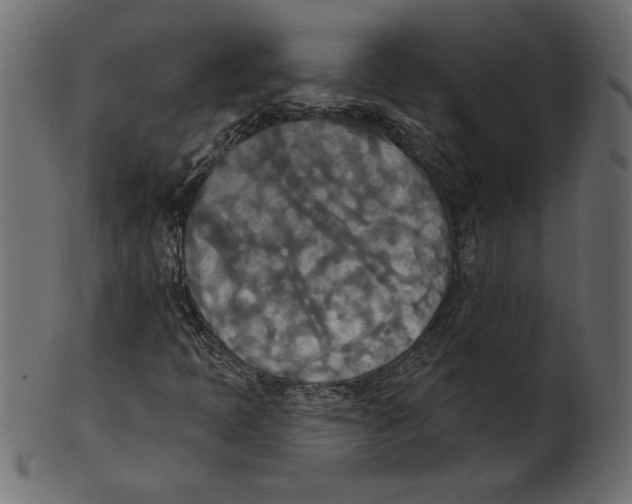 X0000100871397200807181226